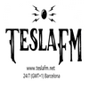 undefined TeslaFM