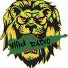 undefined ViiLD RADIO