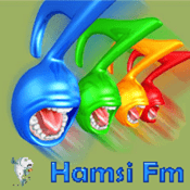 Radio Hamsi FM