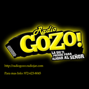 Radio Radio GoZo-TX