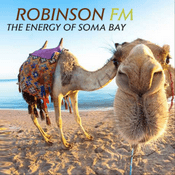 Radio ROBINSON FM