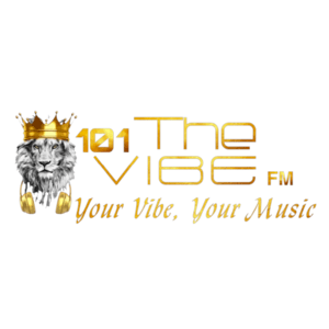 Listen to 101TheVibeFM in the App