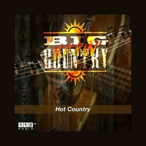 Listen to 113.fm Big Kickin' Country in the App