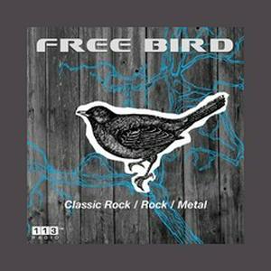 Listen to 113.fm Free Bird in the App