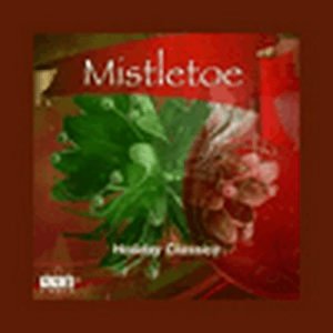 Listen to 113.fm Mistletoe in the App