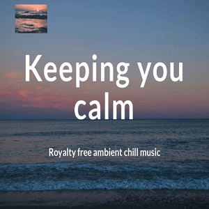 Listen to Ambient Chill Radio in the App