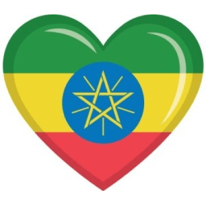 Listen to Amharic Radio Station in the App