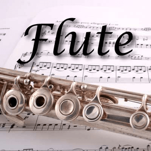 Listen to CALM RADIO - Flute in the App