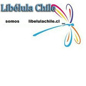 Listen to LibelulaChile.cl Señal 1 in the App