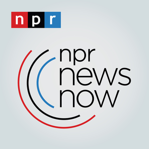 NPR 24