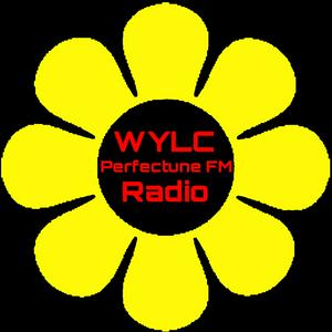 Listen to Perfectune FM in the App