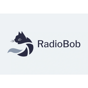 Listen to Radio Bob in the App