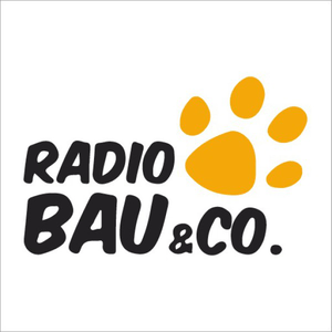 Listen to Radio Monte Carlo - Radio Bau in the App