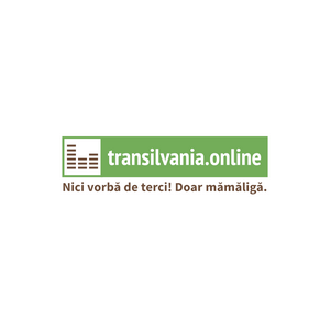 Listen to transilvania.online in the App