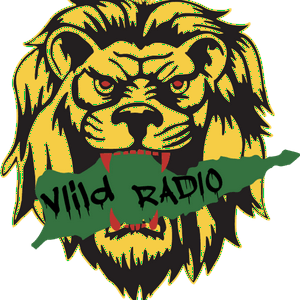 Listen to ViiLD RADIO in the App