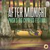 undefined After Midnight: Phish's Big Cypress Festival