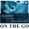 undefined Anatomy & Physiology On The Go