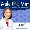 undefined Ask the Vet