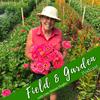 undefined Field and Garden with Lisa Mason Ziegler