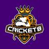 undefined The Cricket8 Podcast