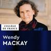 undefined Informatique et sciences numériques (2021-2022) - Wendy Mackay