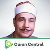 undefined Muhammad Siddiq al-Minshawi