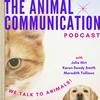 undefined The Animal Communication Podcast