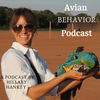 undefined The Avian Behavior Podcast