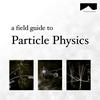 undefined The Field Guide to Particle Physics