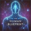 undefined The Human Blueprint