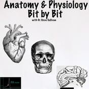 Podcast Anatomy and Physiology - Bit by Bit