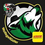 Podcast Antenne Wolfsgeflüster - Der WAC in der Europa League