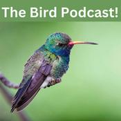 Podcast Birds