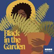 Podcast Black in the Garden