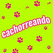 Podcast Cachorreando