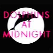 Podcast Dolphins at Midnight