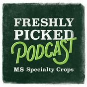 Podcast Freshly Picked