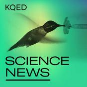 Podcast KQED Science News