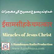 Podcast Miracles of Jesus in the Gospel of John