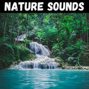 Podcast Nature Sounds for Sleep, Meditation, & Relaxation