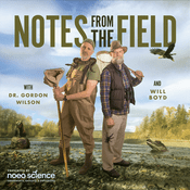 Podcast Notes from the Field