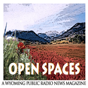 Podcast Open Spaces