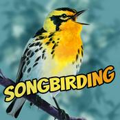 Podcast Songbirding: A Birding-by-ear Podcast