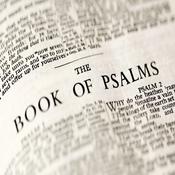 Podcast The Book of Psalms: Presented by Providence Presbyterian Church HIlton Head