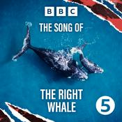 Podcast The Song of the Right Whale