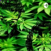 Podcast The Weed