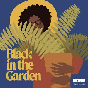 Listen to Black in the Garden in the App