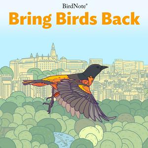 Listen to Bring Birds Back in the App