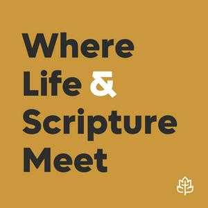 Listen to CCEF Podcast: Where Life & Scripture Meet in the App