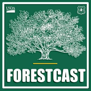 Listen to Forestcast in the App